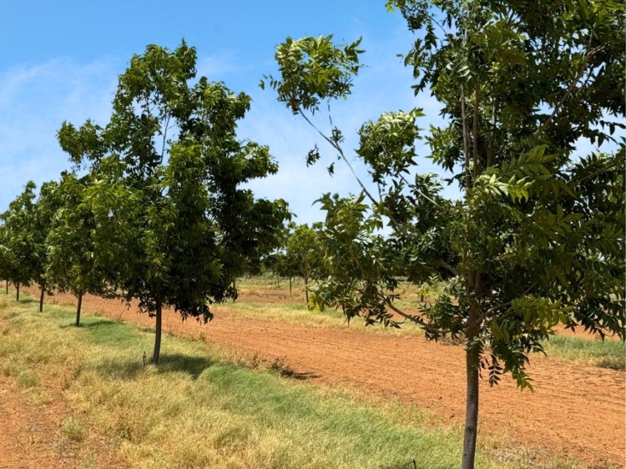  Bedroom Property for Sale in Jan Kempdorp Northern Cape